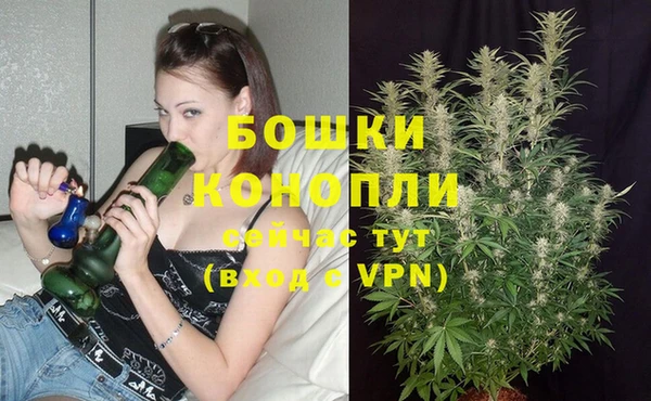 амф Зерноград