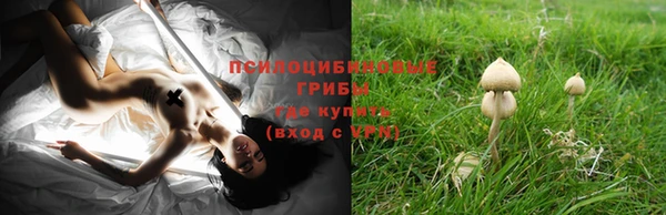 ПСИЛОЦИБИНОВЫЕ ГРИБЫ Зеленокумск