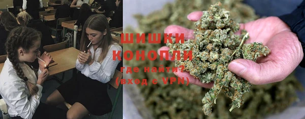 амф Зерноград