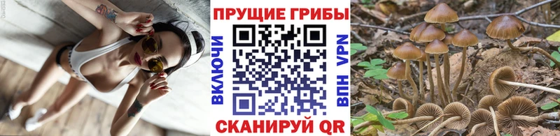 Купить закладки  Перевоз  Галлюциногенные грибы мухоморы 